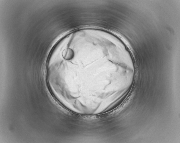 X0000115540957200912041008