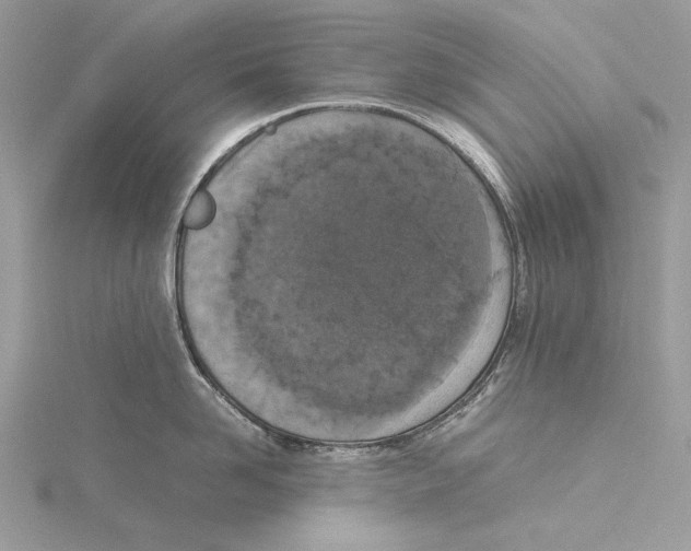 X0000115540958200912041008