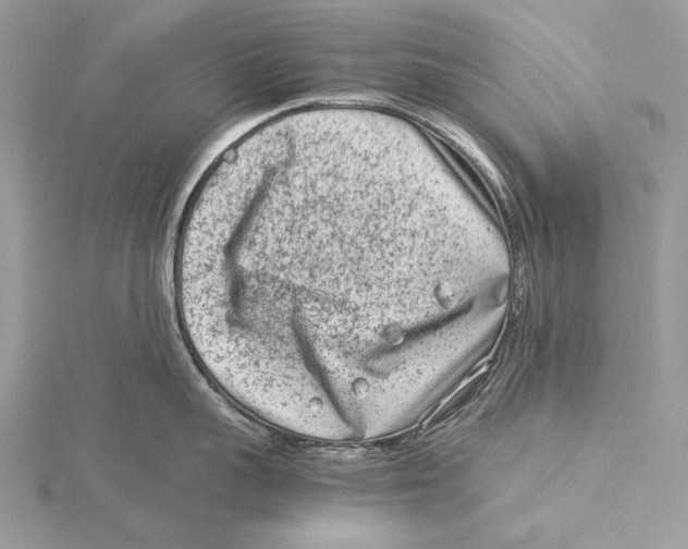 X0000115540959200912041008