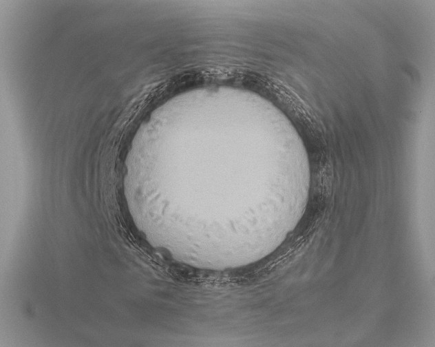 X0000115540961200912041007