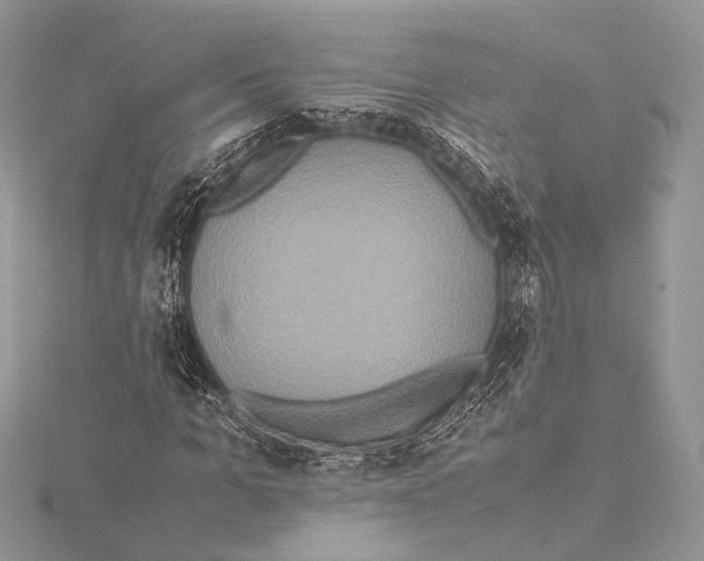 X0000115540965200912041007