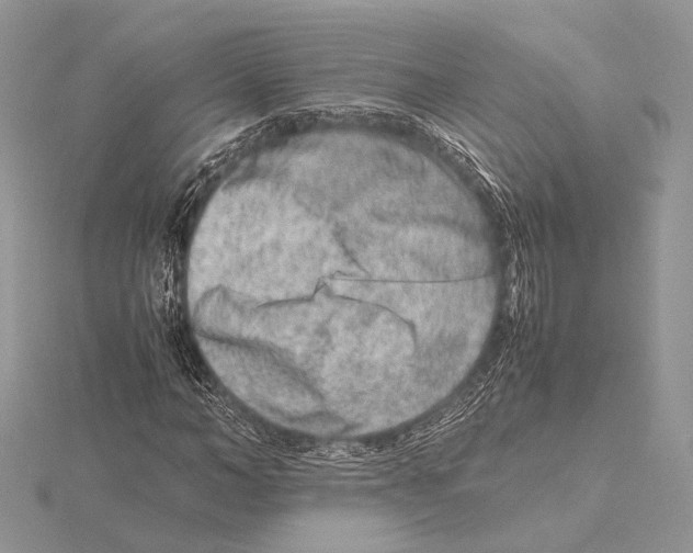 X0000115540966200912041007