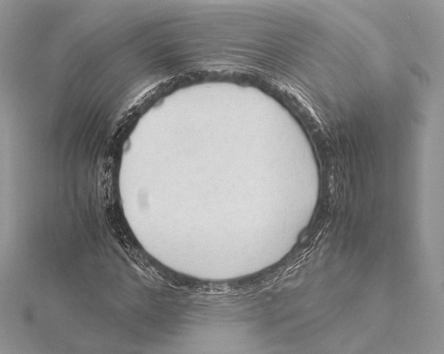 X0000115540968200912041007