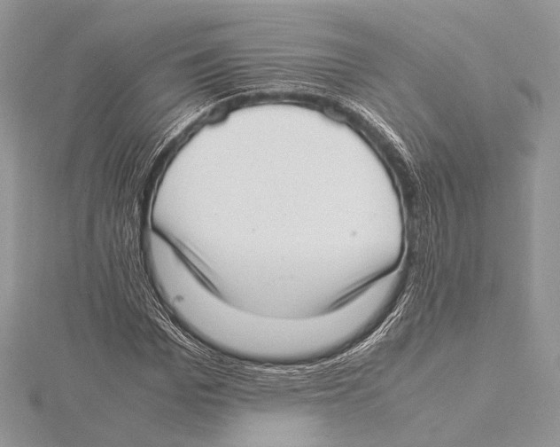 X0000115540969200912041007