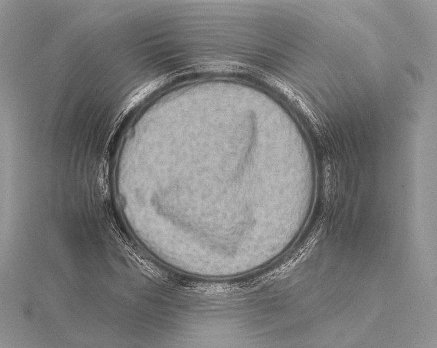 X0000115540970200912041007