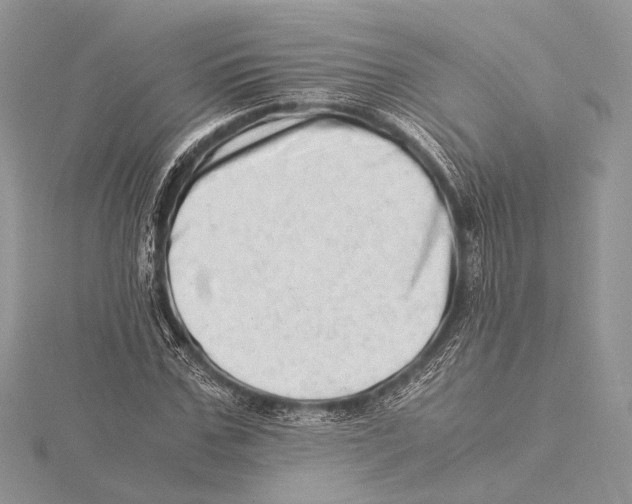 X0000115540971200912041007