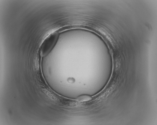 X0000115540973200912041007