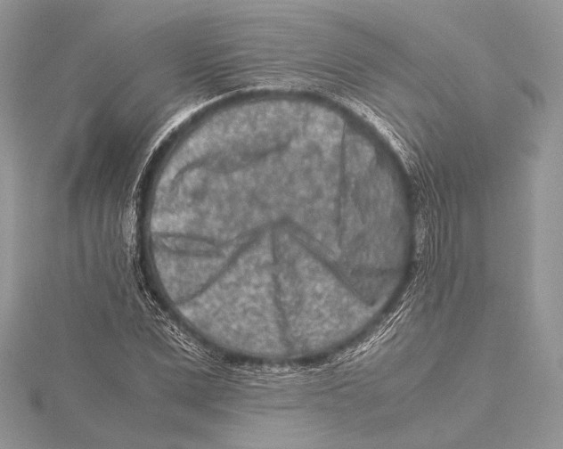 X0000115540975200912041007