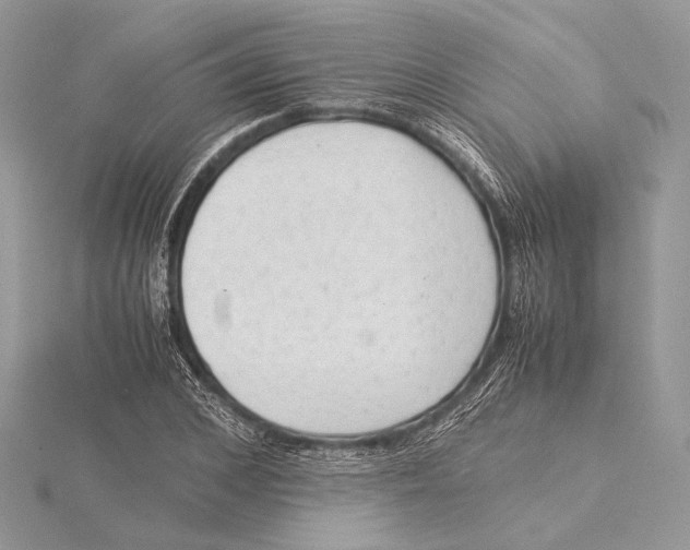 X0000115540976200912041007