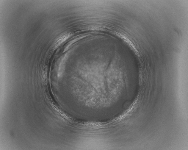 X0000115540977200912041007