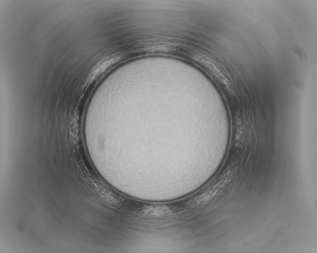 X0000115540978200912041007