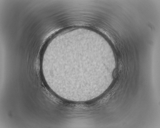 X0000115540979200912041007