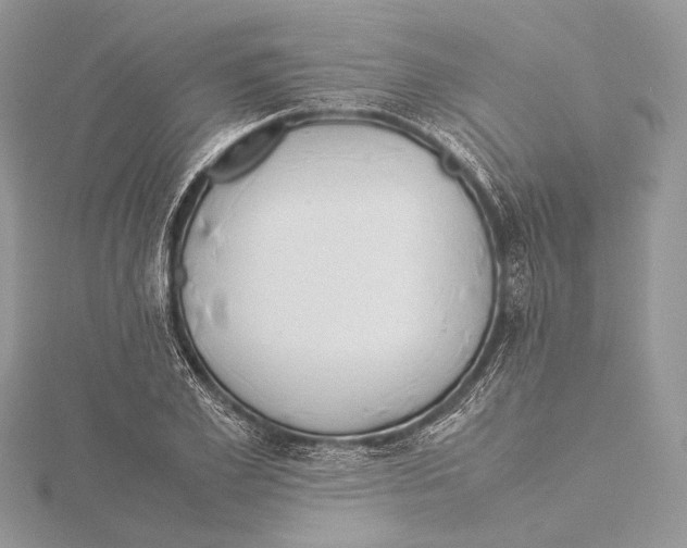 X0000115540981200912041007