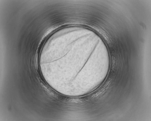 X0000115540982200912041007