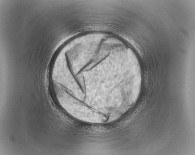 X0000115540983200912041007