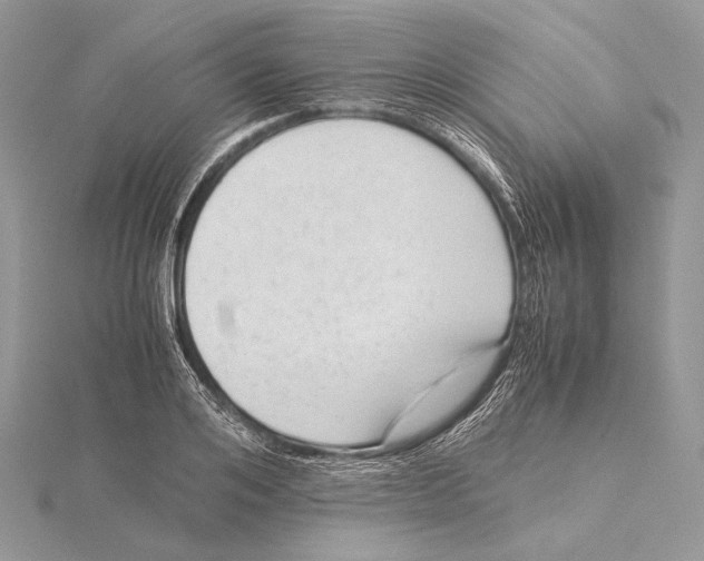 X0000115540984200912041007