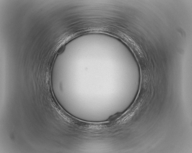 X0000115540985200912041007