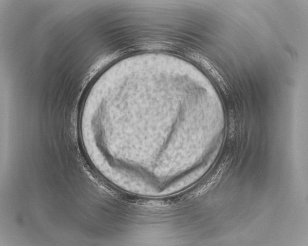 X0000115540986200912041007