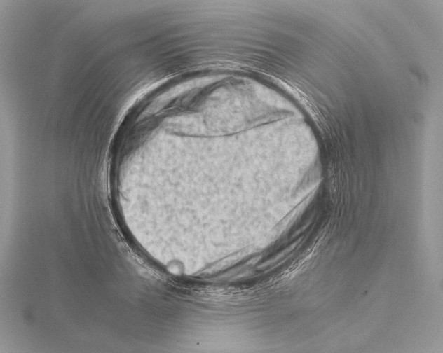 X0000115540987200912041007