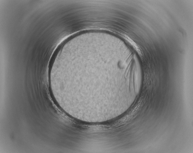 X0000115540988200912041007