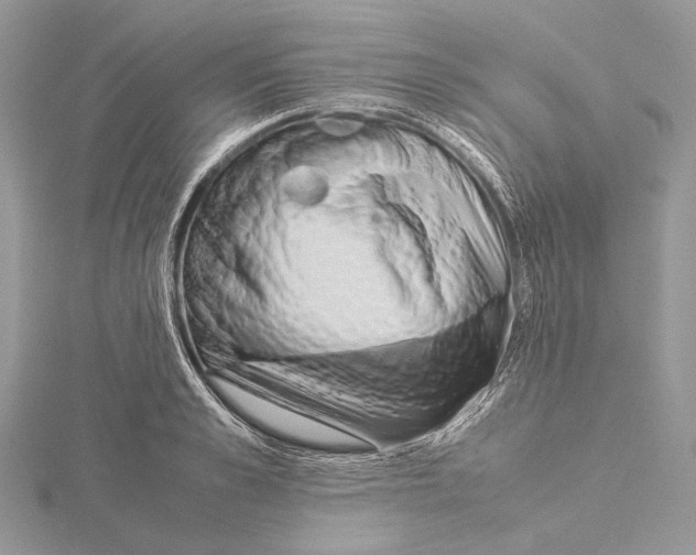 X0000115540989200912041007