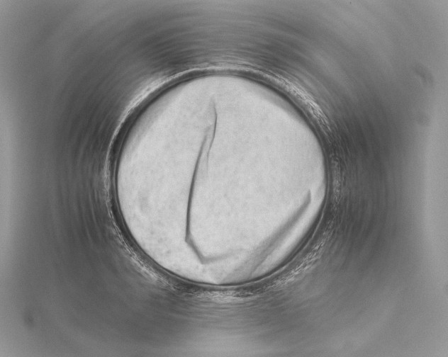 X0000115540990200912041007