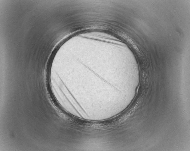 X0000115540991200912041007