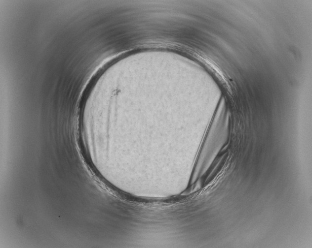 X0000115540992200912041007