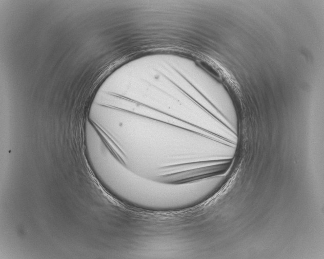 X0000115540993200912041007