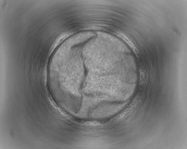 X0000115540994200912041007