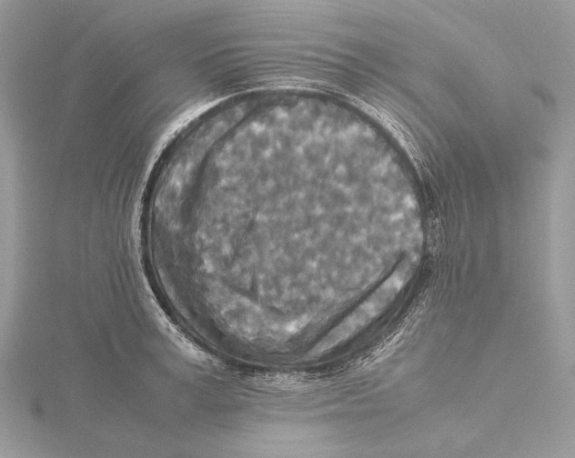 X0000115540995200912041007