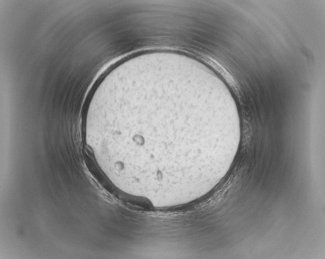 X0000115540996200912041007