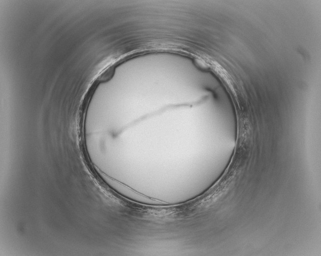 X0000115540997200912041007