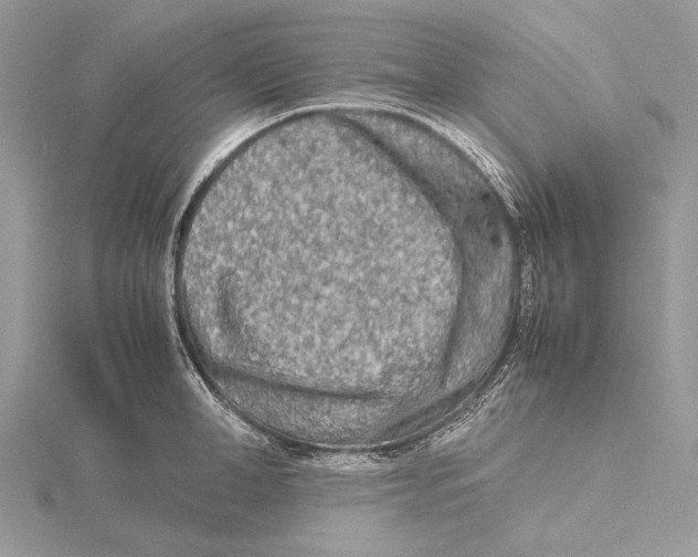 X0000115540998200912041007