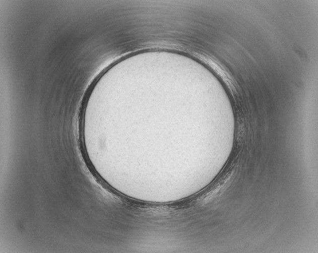 X0000115540999200912041007