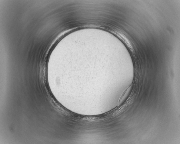 X0000115541000200912041007