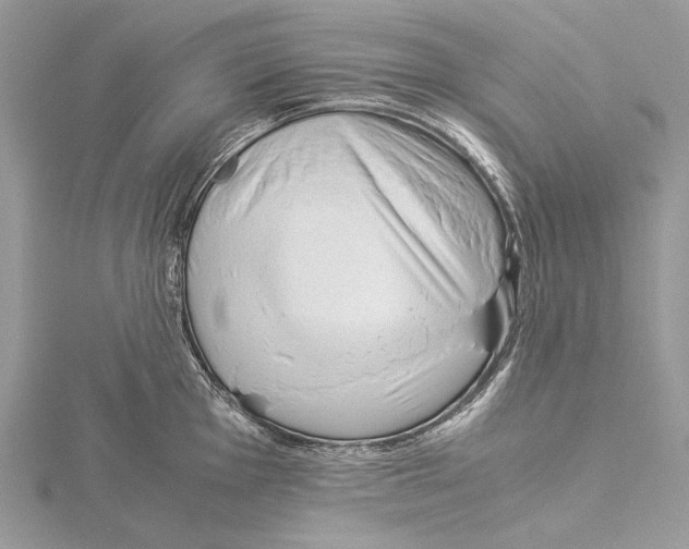 X0000115541001200912041007