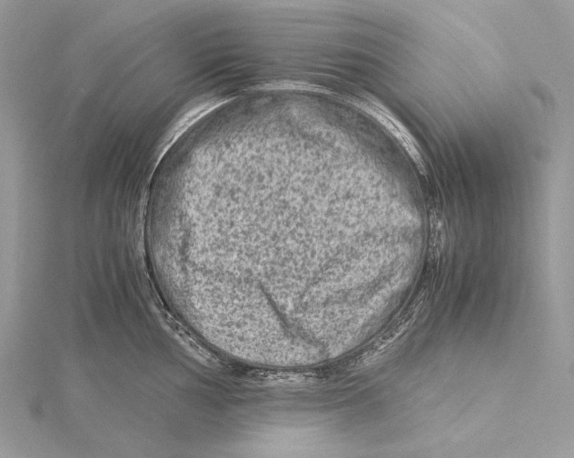 X0000115541002200912041007