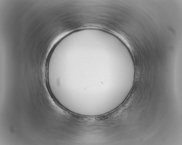 X0000115541003200912041007