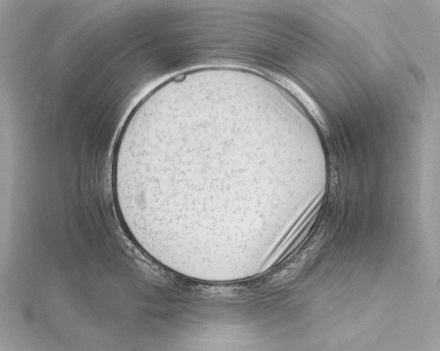 X0000115541004200912041007