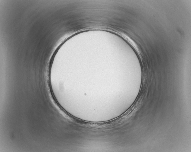 X0000115541005200912041007