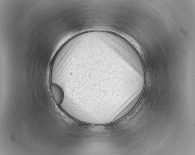 X0000115541006200912041007