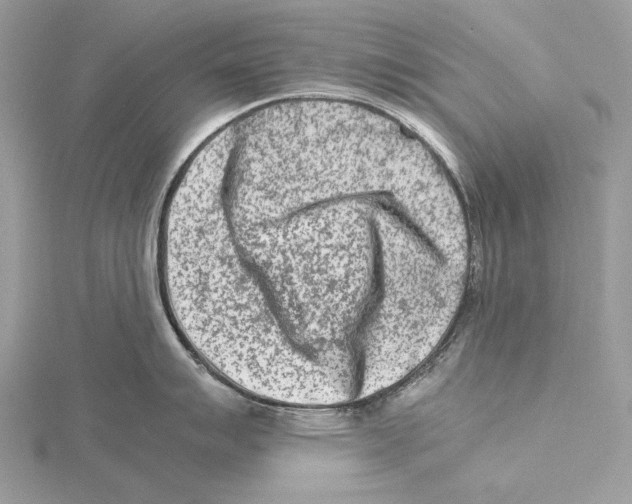 X0000115541007200912041007