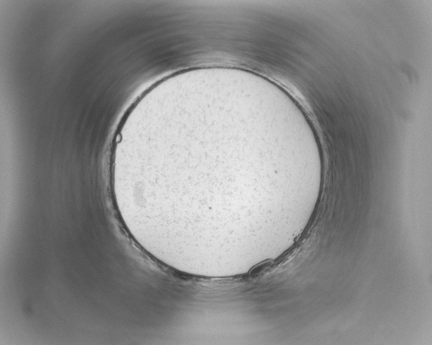 X0000115541008200912041007