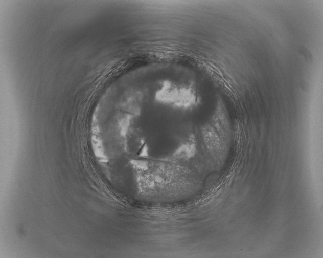 X0000115541009200912041006