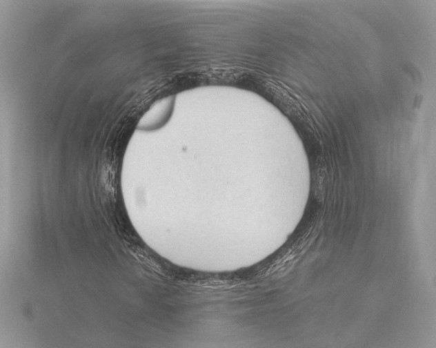 X0000115541010200912041006