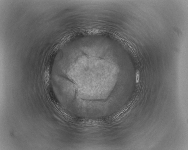 X0000115541011200912041006