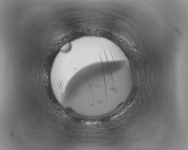 X0000115541013200912041006