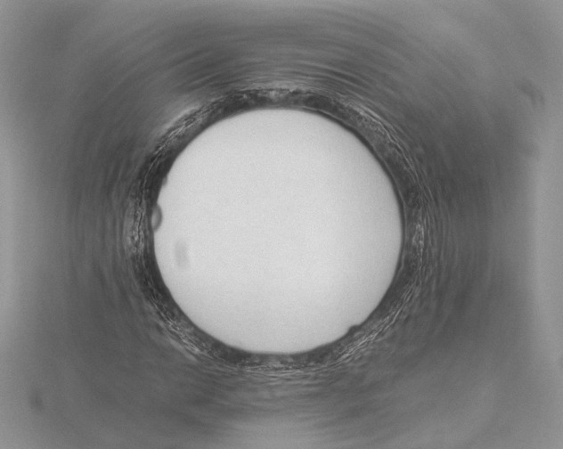 X0000115541014200912041006