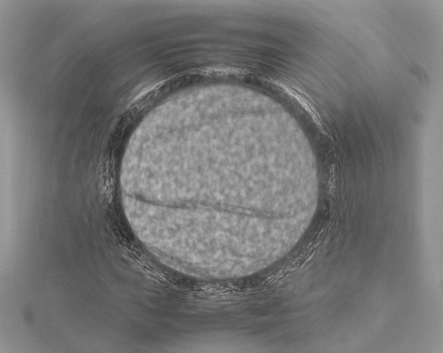 X0000115541015200912041006